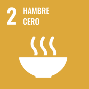 Objetivo 2: Hambre Cero