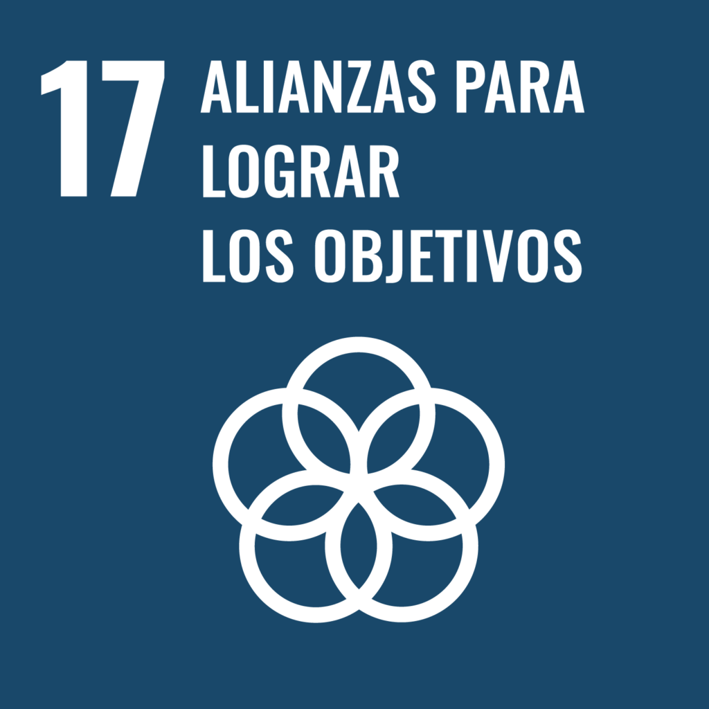 ONU objetivo 17